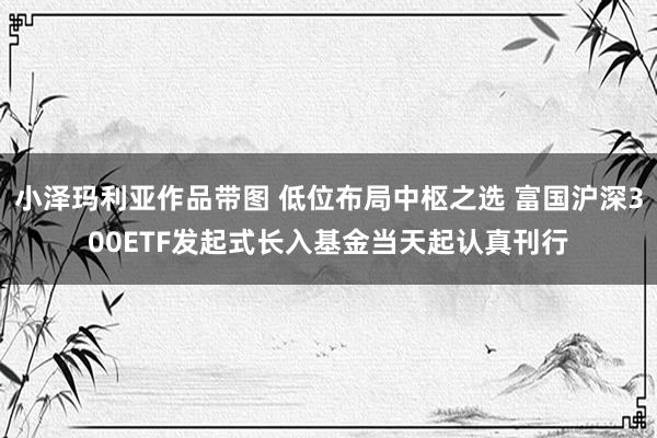 小泽玛利亚作品带图 低位布局中枢之选 富国沪深300ETF发起式长入基金当天起认真刊行