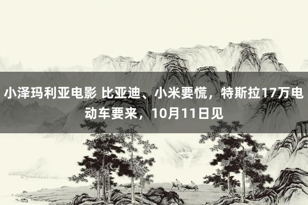 小泽玛利亚电影 比亚迪、小米要慌，特斯拉17万电动车要来，10月11日见