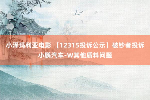 小泽玛利亚电影 【12315投诉公示】破钞者投诉小鹏汽车-W其他质料问题