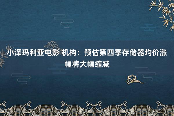 小泽玛利亚电影 机构：预估第四季存储器均价涨幅将大幅缩减