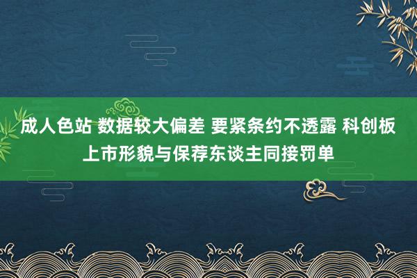 成人色站 数据较大偏差 要紧条约不透露 科创板上市形貌与保荐东谈主同接罚单