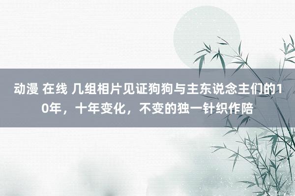 动漫 在线 几组相片见证狗狗与主东说念主们的10年，十年变化，不变的独一针织作陪