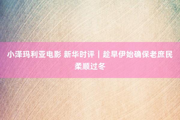 小泽玛利亚电影 新华时评｜趁早伊始确保老庶民柔顺过冬