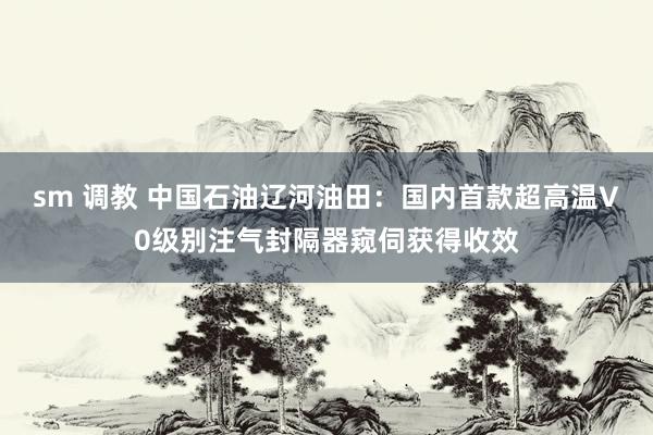 sm 调教 中国石油辽河油田：国内首款超高温V0级别注气封隔器窥伺获得收效