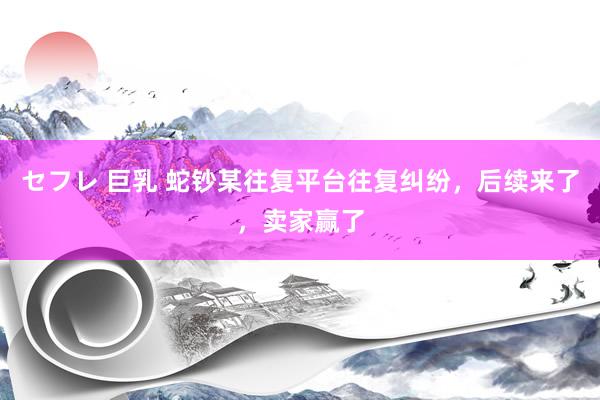 セフレ 巨乳 蛇钞某往复平台往复纠纷，后续来了，卖家赢了