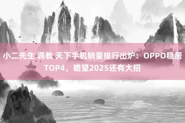小二先生 调教 天下手机销量排行出炉：OPPO稳居TOP4，瞻望2025还有大招