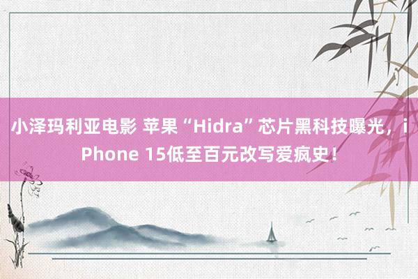 小泽玛利亚电影 苹果“Hidra”芯片黑科技曝光，iPhone 15低至百元改写爱疯史！