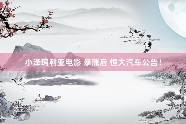 小泽玛利亚电影 暴涨后 恒大汽车公告！
