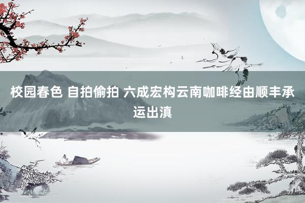 校园春色 自拍偷拍 六成宏构云南咖啡经由顺丰承运出滇
