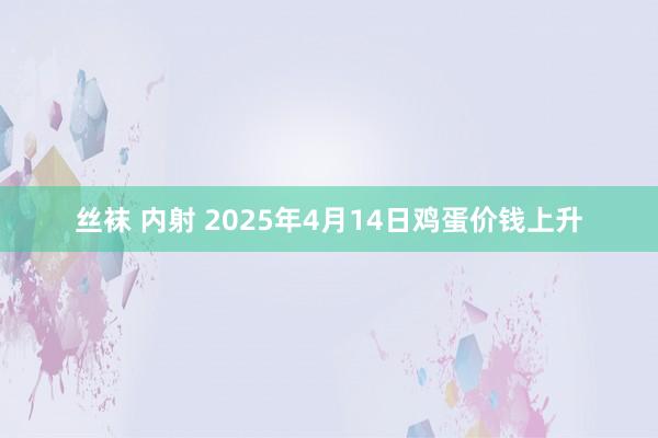 丝袜 内射 2025年4月14日鸡蛋价钱上升