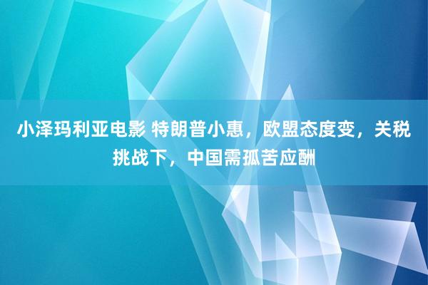小泽玛利亚电影 特朗普小惠，欧盟态度变，关税挑战下，中国需孤苦应酬