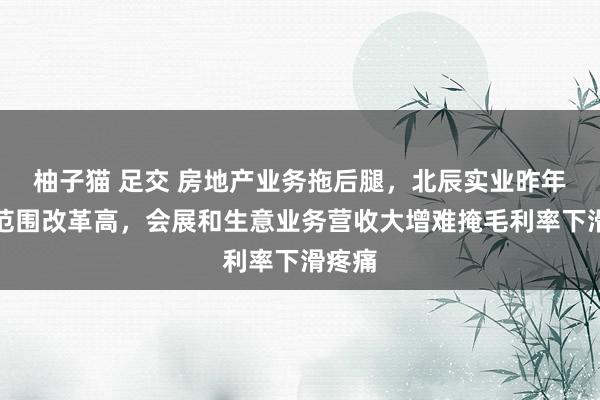 柚子猫 足交 房地产业务拖后腿，北辰实业昨年损失范围改革高，会展和生意业务营收大增难掩毛利率下滑疼痛