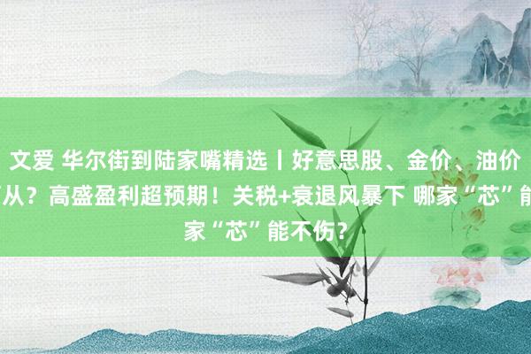 文爱 华尔街到陆家嘴精选丨好意思股、金价、油价何去何从？高盛盈利超预期！关税+衰退风暴下 哪家“芯”能不伤？
