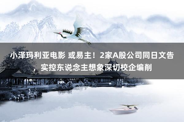 小泽玛利亚电影 或易主！2家A股公司同日文告，实控东说念主想象深切校企编削