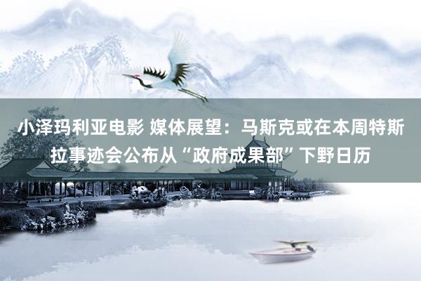 小泽玛利亚电影 媒体展望：马斯克或在本周特斯拉事迹会公布从“政府成果部”下野日历