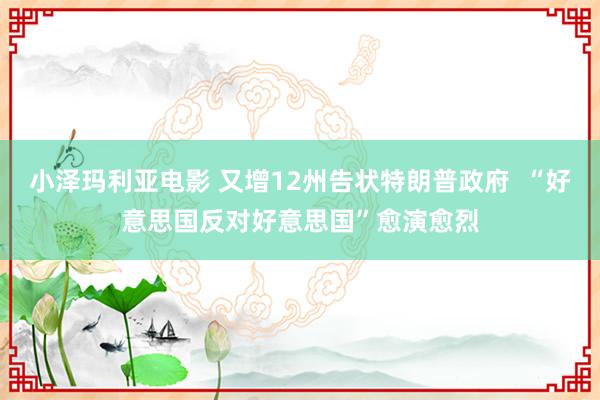 小泽玛利亚电影 又增12州告状特朗普政府  “好意思国反对好意思国”愈演愈烈