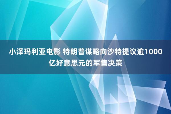 小泽玛利亚电影 特朗普谋略向沙特提议逾1000亿好意思元的军售决策