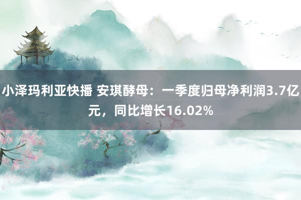 小泽玛利亚快播 安琪酵母：一季度归母净利润3.7亿元，同比增